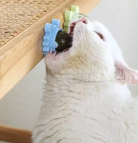 Juguete para gato Catnip Hierba Natural