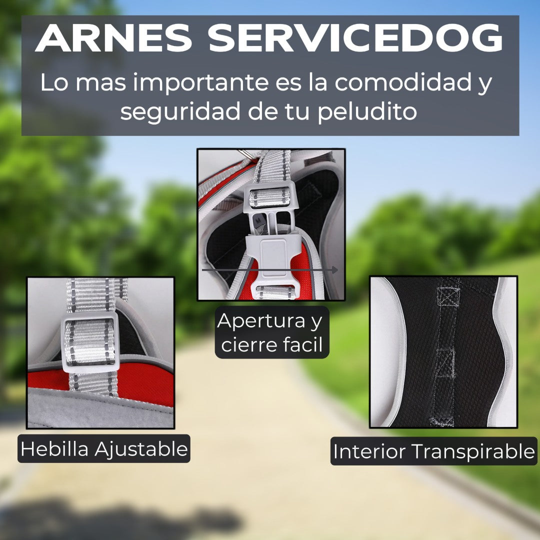 Arnes Pechera Para Perro Service Dog