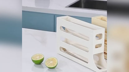 ORGANIZADOR HUEVOS + obserquio DISPENSADOR CUCHARON